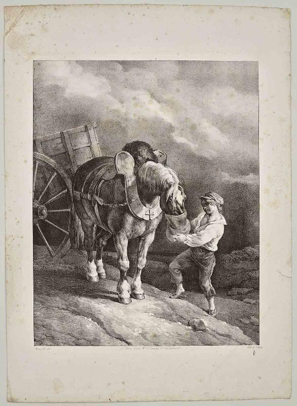 Suite dite Les Grands Chevaux : Garçon donnant de l'avoine à un cheval dételé