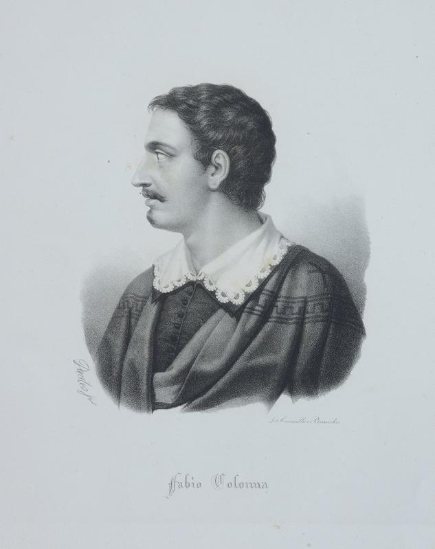 Portraits d'illustres napolitains : Fabio Colonna