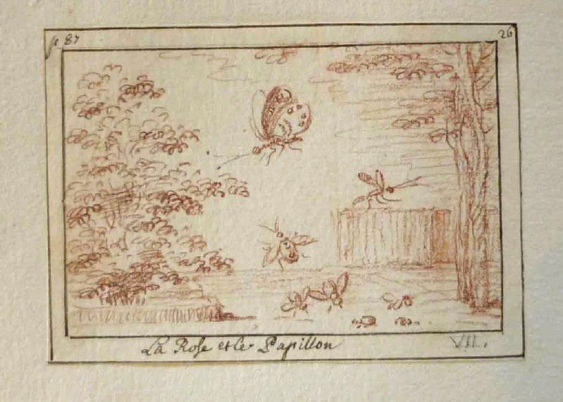 Fables de Houdard de La Motte : La rose et le papillon