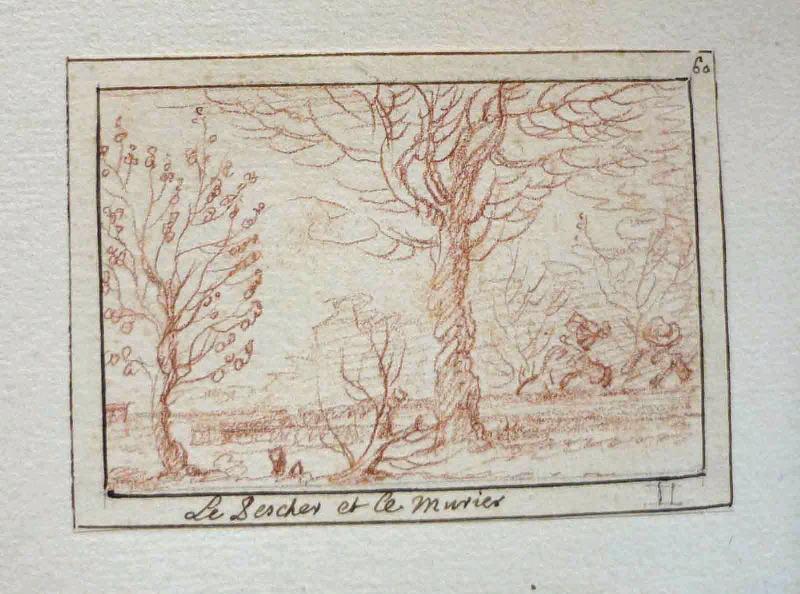 Fables de Houdard de La Motte : Le pêcher et le murier