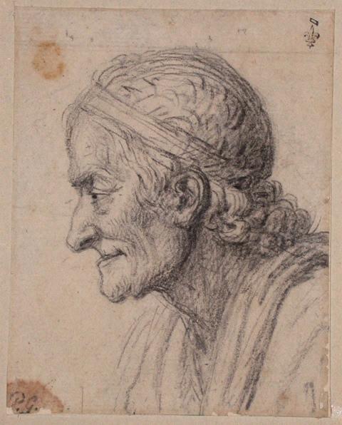 Voltaire de profil