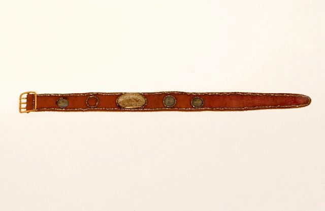 Collier de chien en cuir rouge avec boucle en or et diamants incrustés sur tout son pourtour