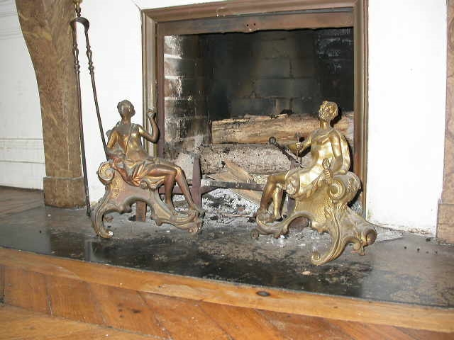 Paire de chenets en bronze doré représentant Vénus et Mars