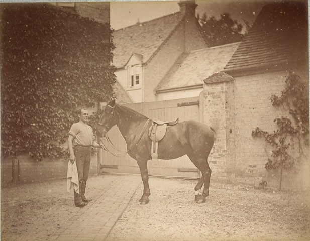 Un cheval tenu par un palefrenier, 55 ; Album toilé beige, contenant 30 photographies anonymes, tirages albumine encadré d’un trait rouge (sauf un), numérotés de 36 à 65 Etiquette à l’intérieur : Album 32 X 41, n° 2, sans clichés