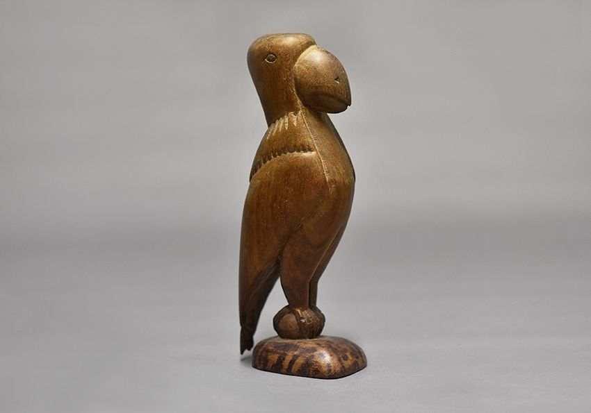 Perroquet de Louis B.