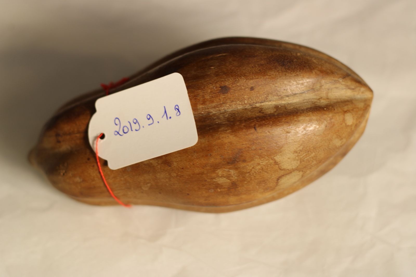 Plateau de fruits de Louis B. ; cabosse