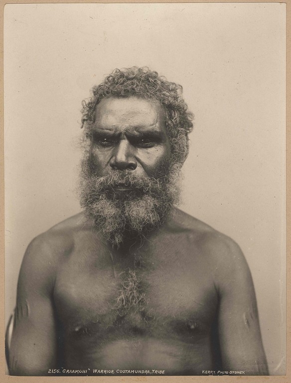 Graamoni, warrior cootamundra tribe