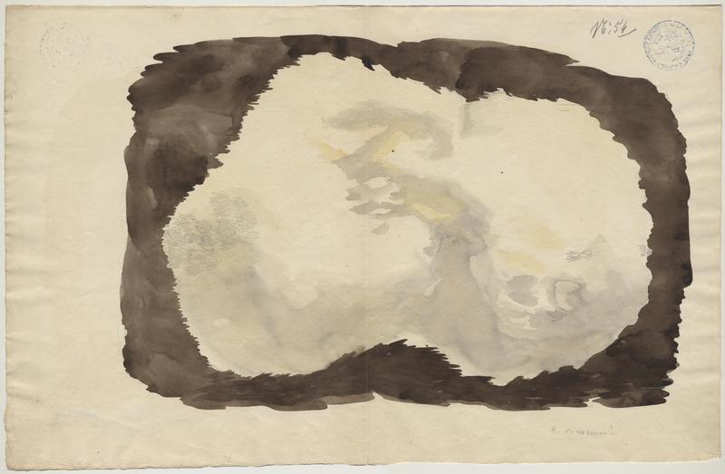 Hydne corail ; champignon