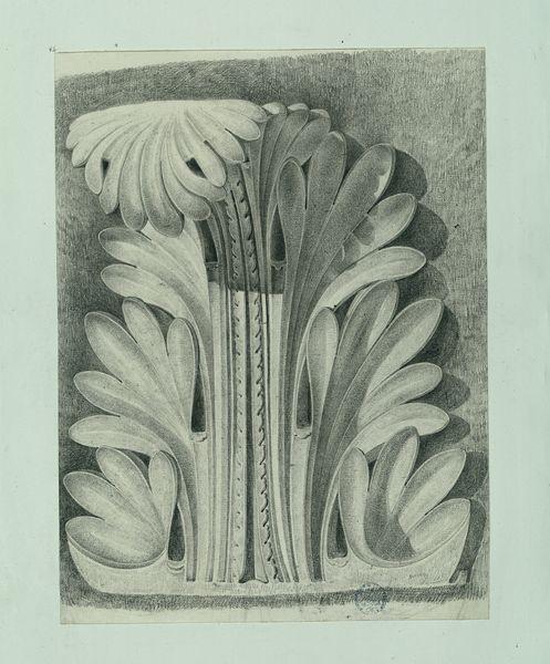 Etudes détaillées des chapiteaux du temple d'Antonin et de Faustine copiées d'après M. Percié par un de ses élèves à Paris en 1780 : dessin n° 3