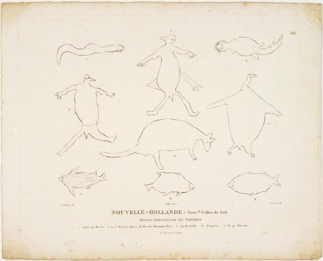 Nouvelle-Hollande : Nouvelle Galles du Sud - Dessins exécutés par les naturels - 1 : Espèce de Murène - 2, 4, 5 : Diverses figures du Dieu des Montagnes bleues - 3 : Squale barbu - 6 : Kanguroo - 7, 8, 9 : Poissons