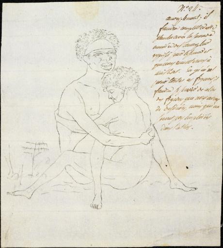 n°24 - accouplement - il faudra compléter cette planche avec la seconde manière de s'accoupler esquissée par Lesueur et que nous remettrons à Milbert... (écriture de François Péron)