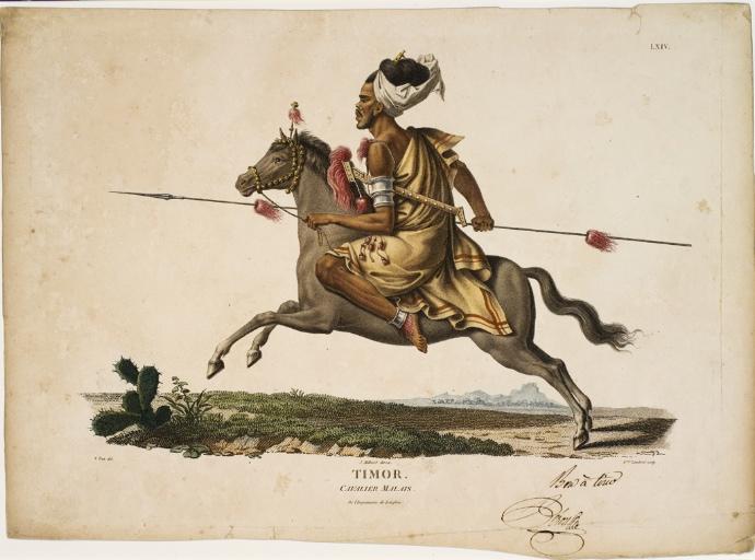 Cavalier de Timor (Indonésie)