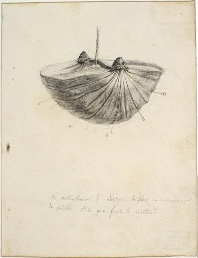 Panier de Timor (Indonésie)