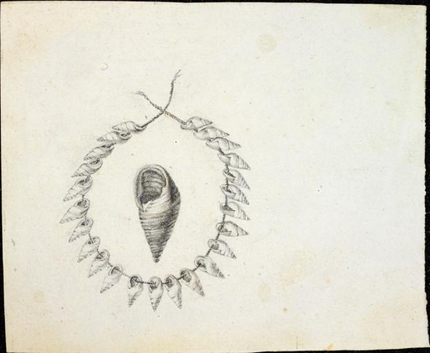 Assemblage de coquillages et coquille d'un gastéropode utilisé pour cet assemblage