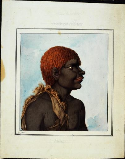 Homme de Tasmanie Terre de Diémen - Ouriaga ?