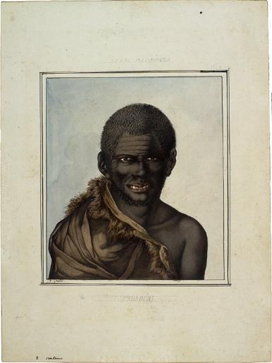 Terre de Diémen - Parabéri  (Tasmanie)