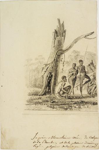 Gens de la Terre de Diémen (Tasmanie)