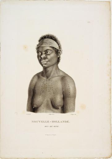 Nouvelle-Hollande - Oui-Ré-Kine