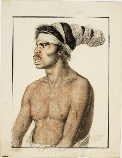 Nouvelle-Hollande - Mororé