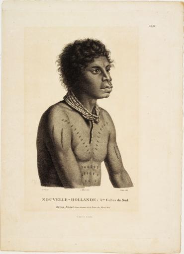 Nouvelle-Hollande - Nelle Galles du Sud - Bedgi Bedgi, jeune homme de la tribu des Gwea-Gal