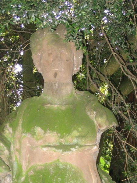 Flore (titre factice)