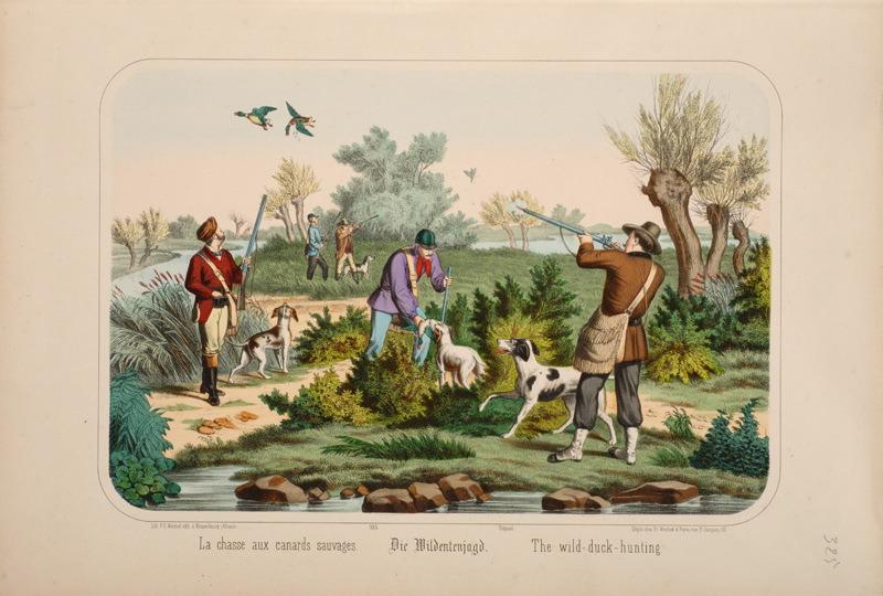 La chasse aux canards sauvages. (titre inscrit, français, allemand, anglais)