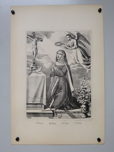 Ste. Rose. (titre inscrit, français, allemand, anglais, espagnol)