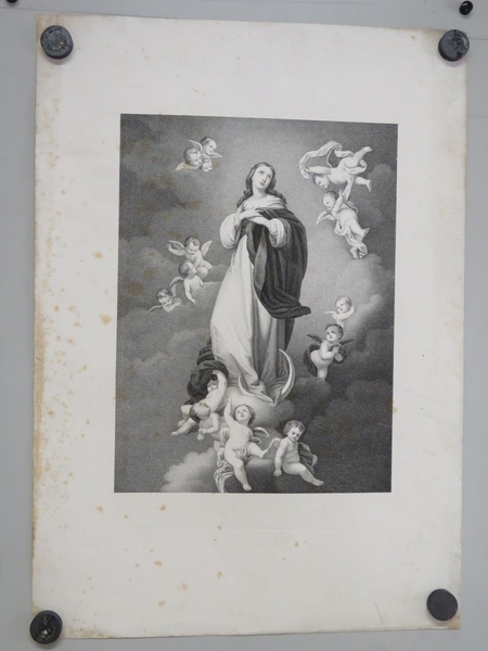 Immaculée conception. (titre factice)