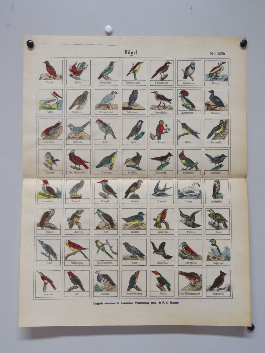 Vögel. (titre inscrit, allemand) ; Oiseaux. (titre traduit)