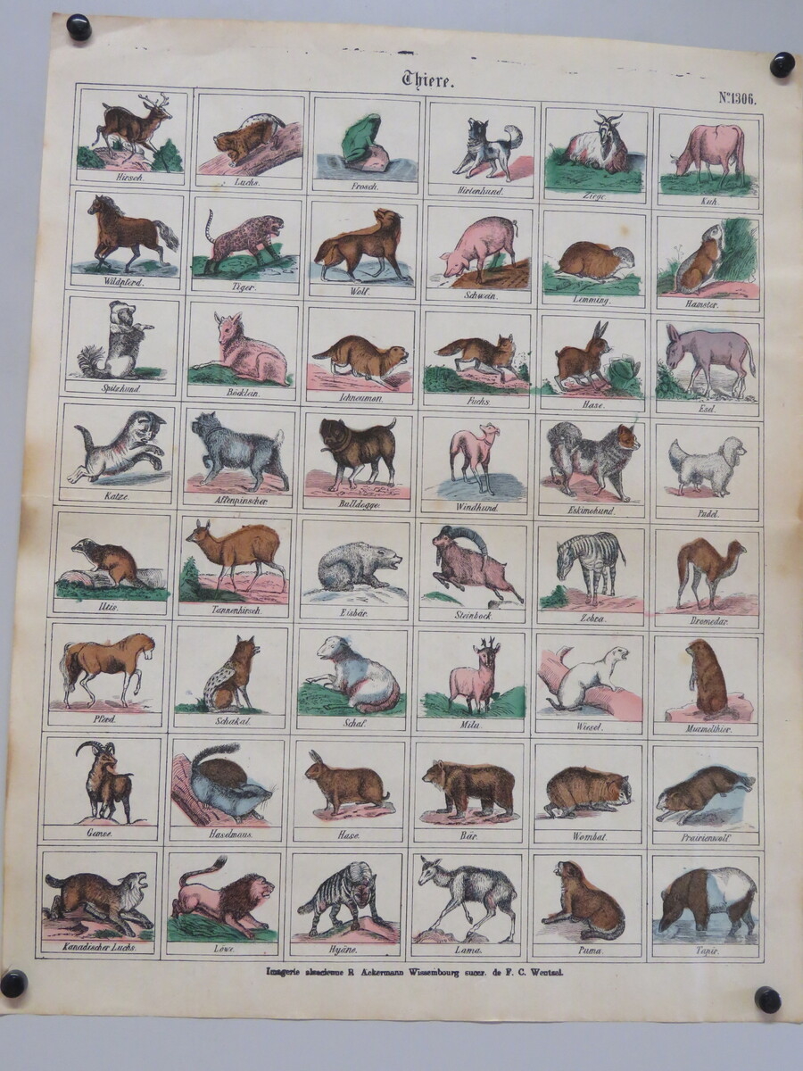 Thiere. (titre inscrit, allemand) ; Animaux. (titre traduit)
