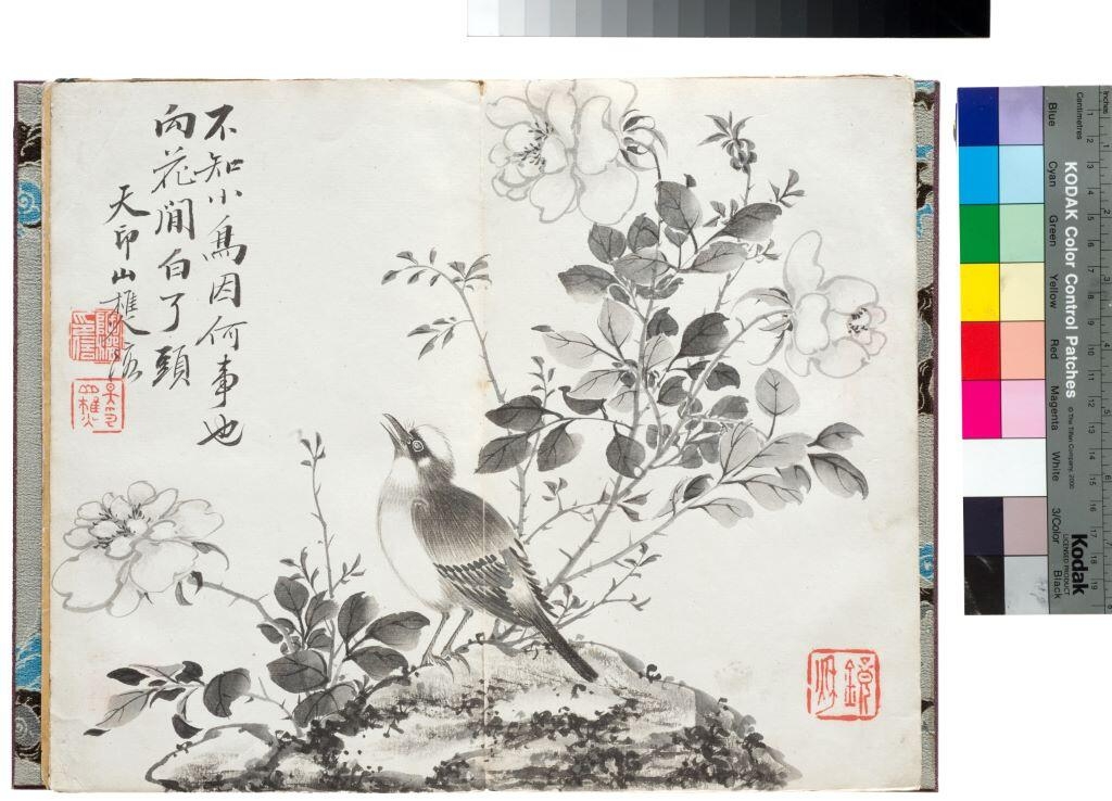 Album d'aquarelles (fleurs et poésie)