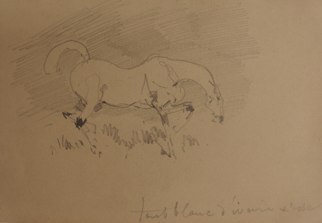 Cheval blanc gambadant dans un pré / Dessin infantile bouffon