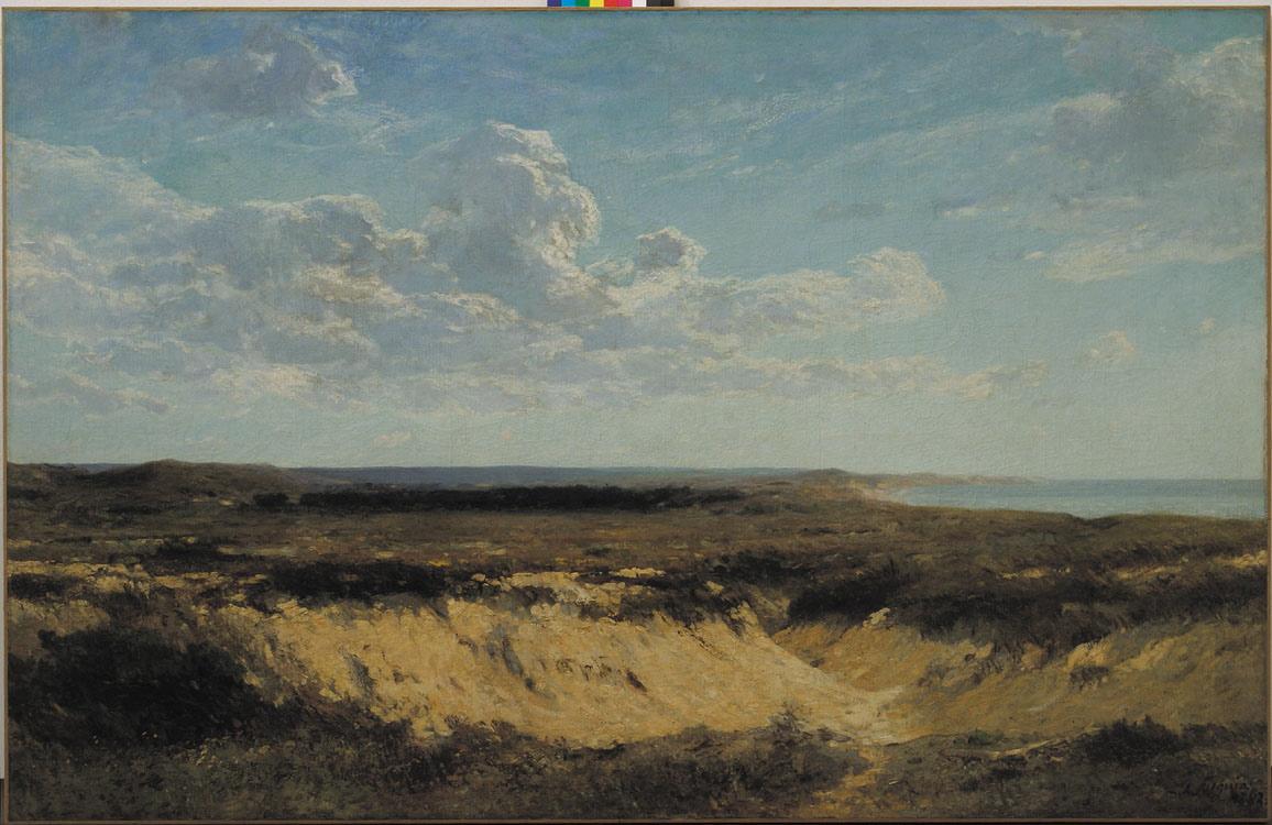 Dunes à Montalivet (Golfe de Gascogne)