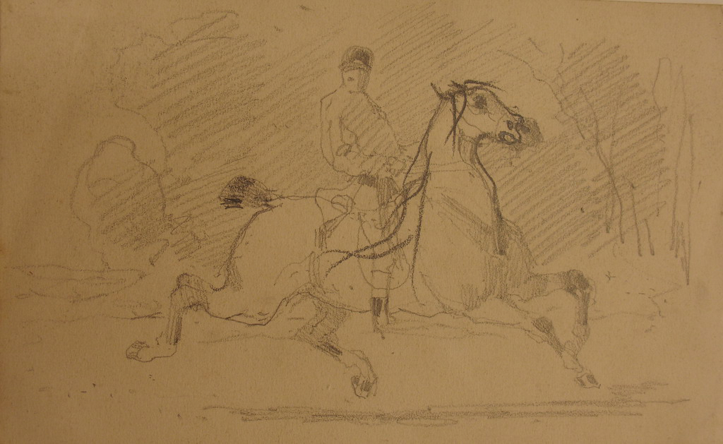 Grand trot monté / Portrait équestre et course