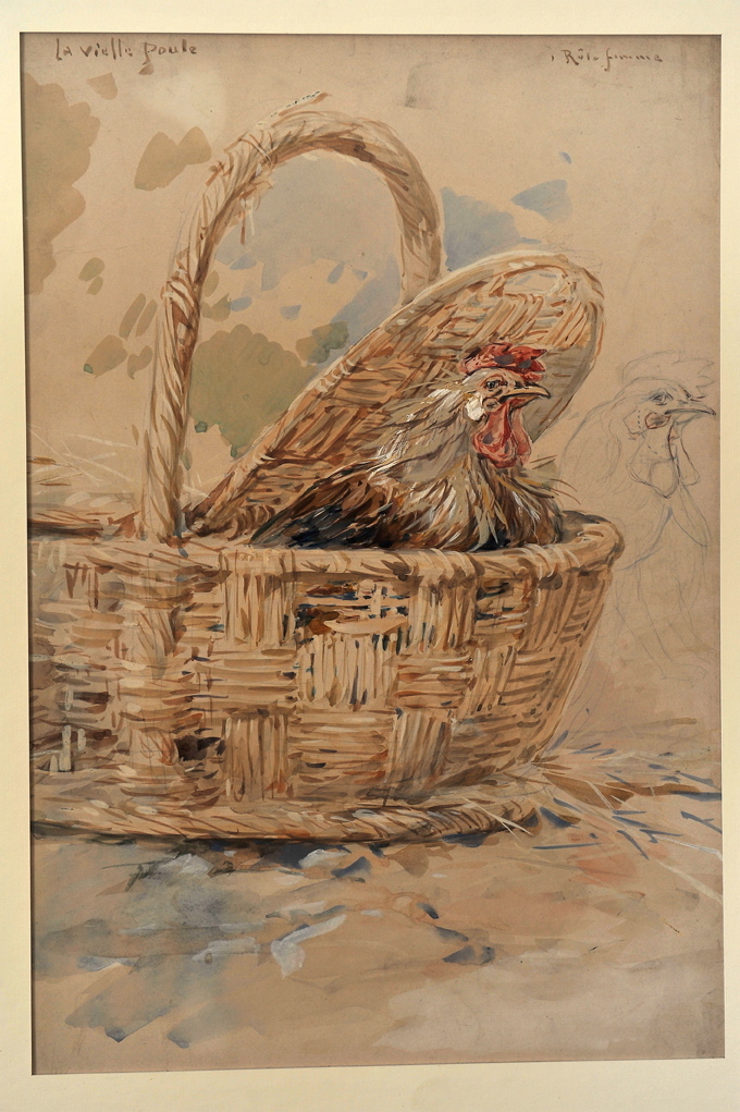 La vieille poule