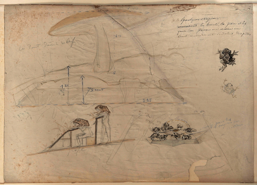 Décor de l’assemblée des crapauds