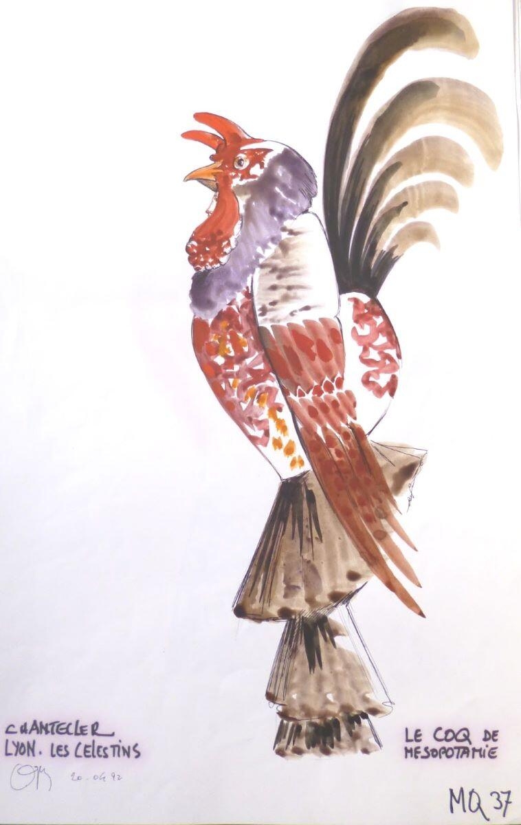Le Coq de Mésopotamie