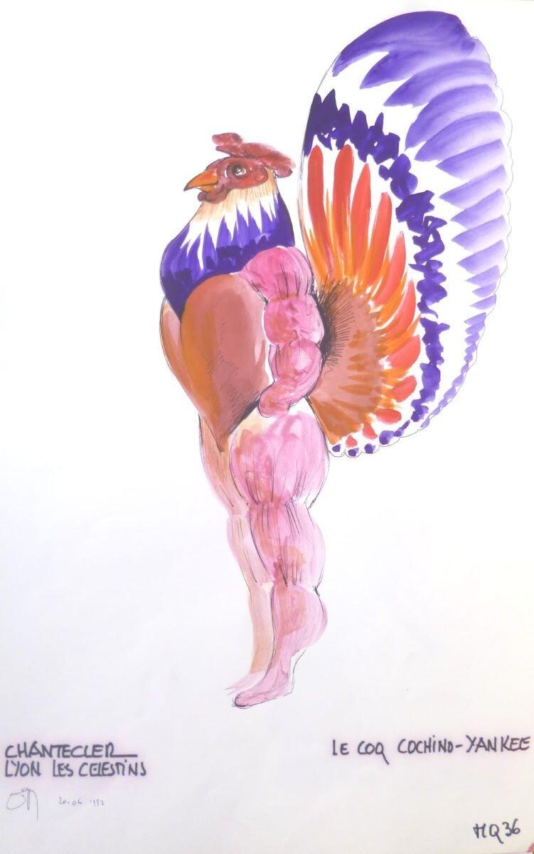 Le Coq Cochino-Yankee