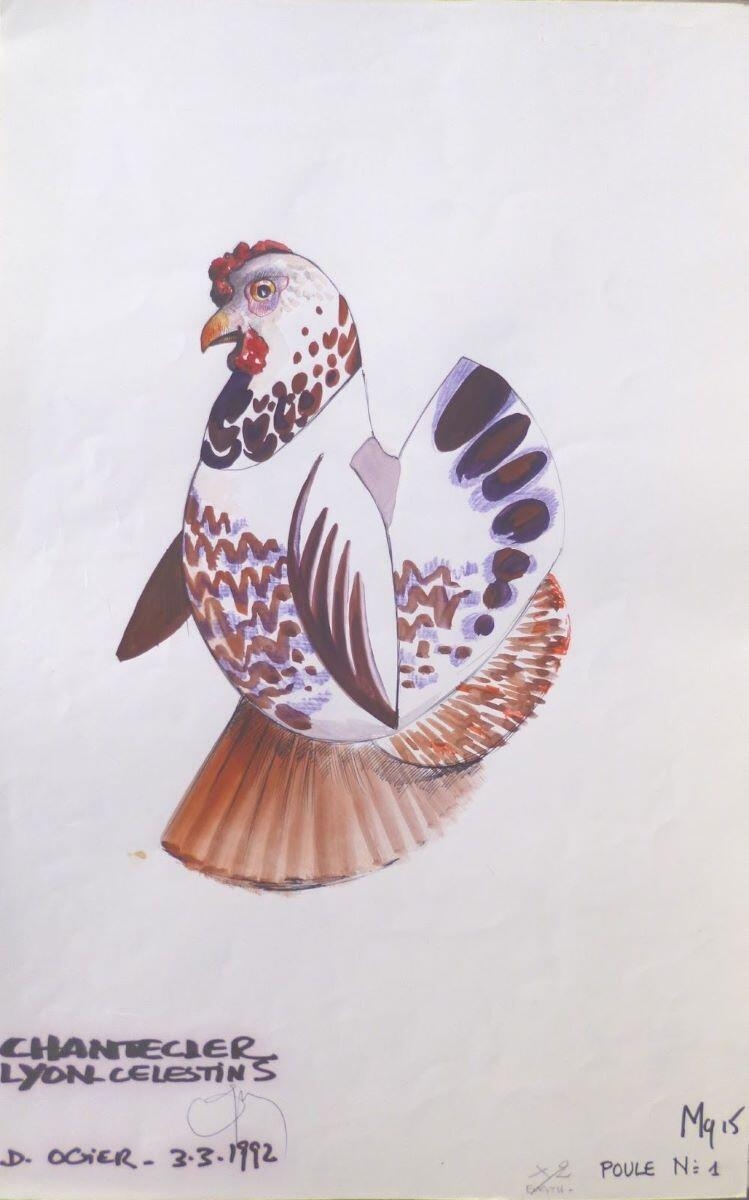 Poule  n°1