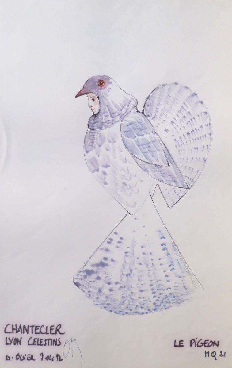 Pigeon