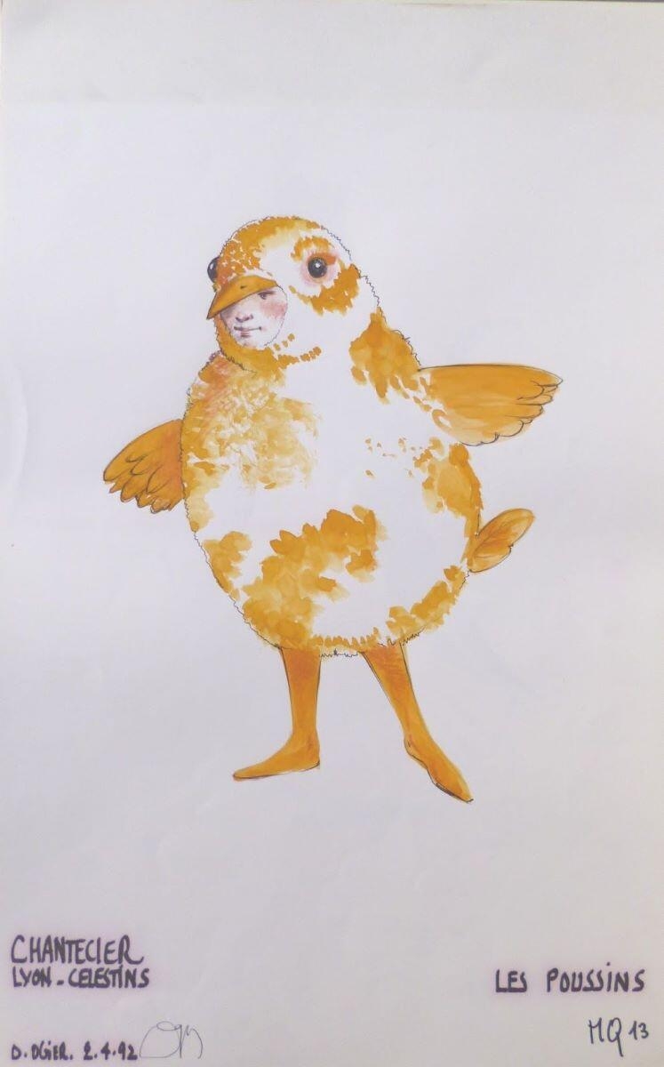 Les poussins