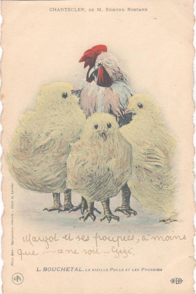 Chantecler de M. Edmond Rostand. L. Bouchetal La vieille poule et les poussins
