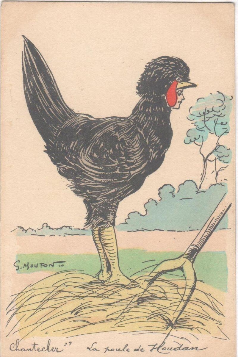 La poule de Houdan