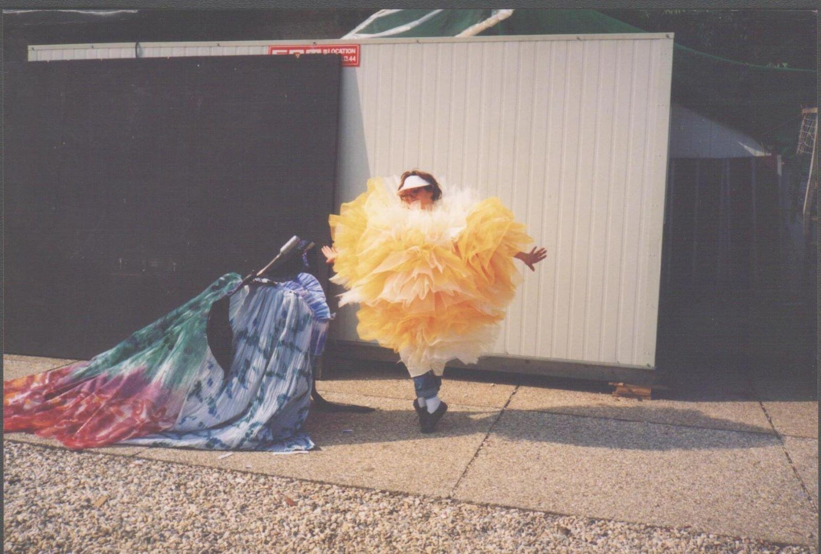 Chantecler : costumes Daniel Ogier