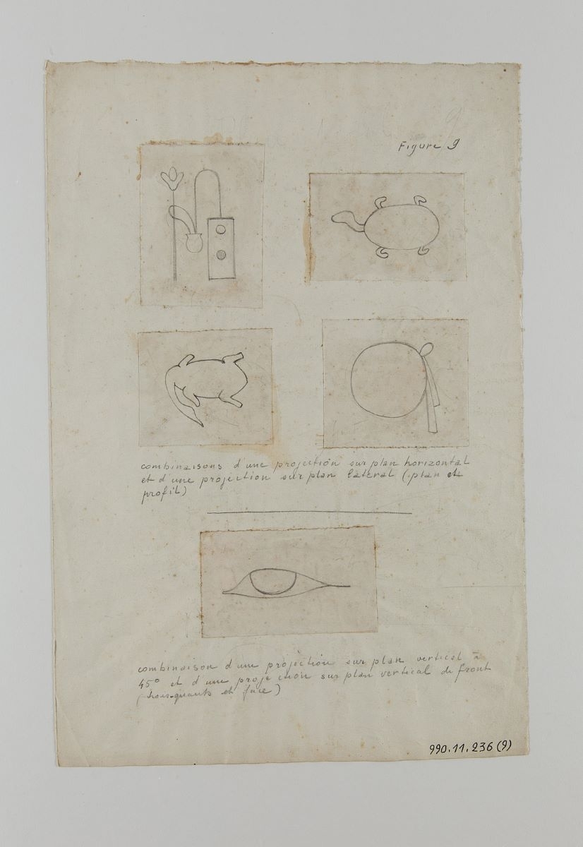 Animaux, oeil et objets (titre factice)