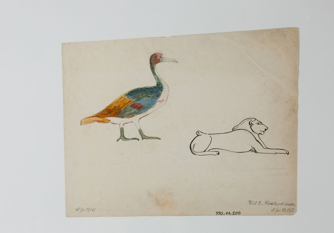 Hiéroglyphes du lion et de l'oie (titre factice)