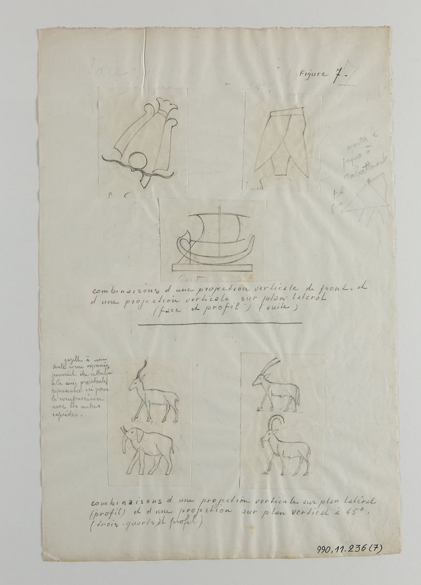 Animaux et objets (titre factice)