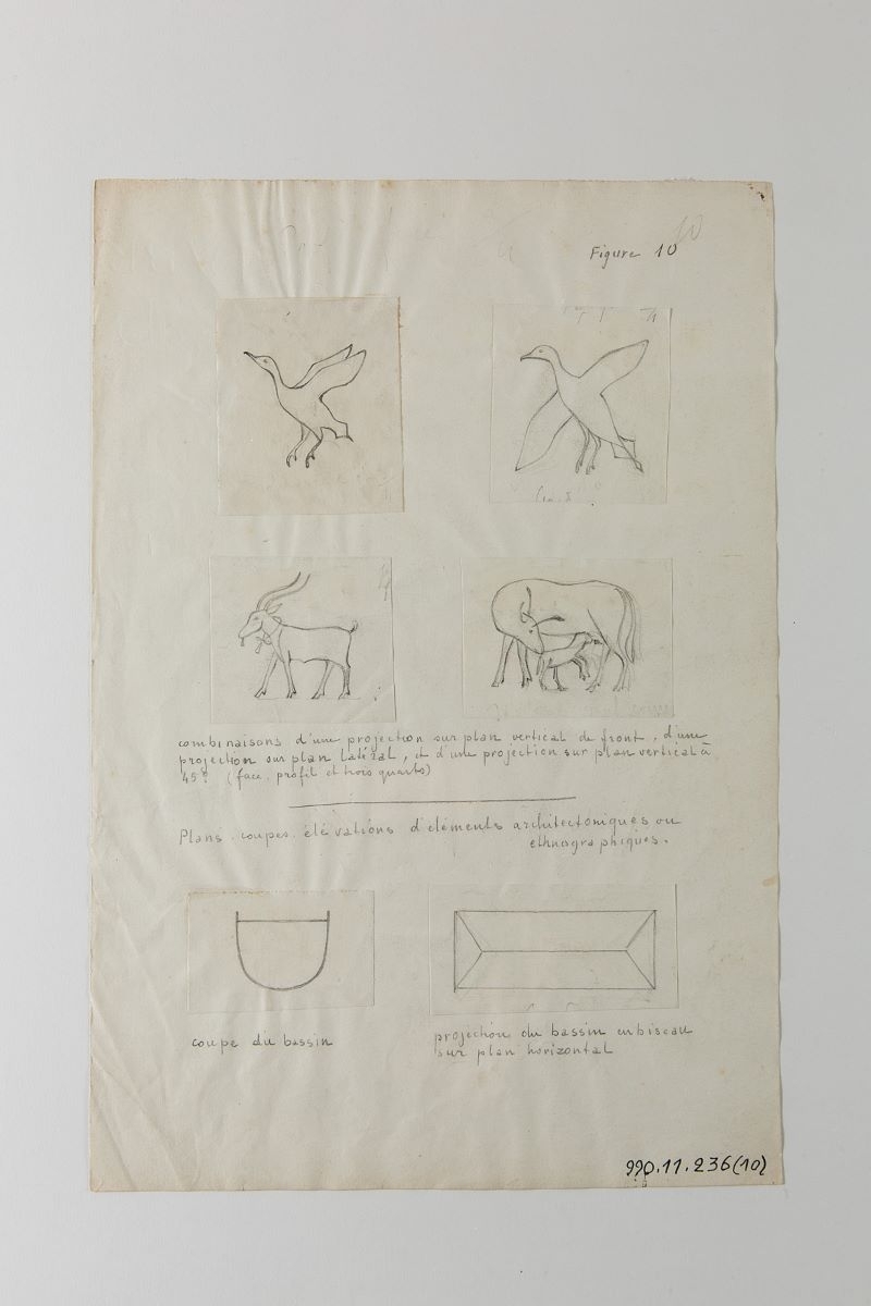 Animaux et objets (titre factice)