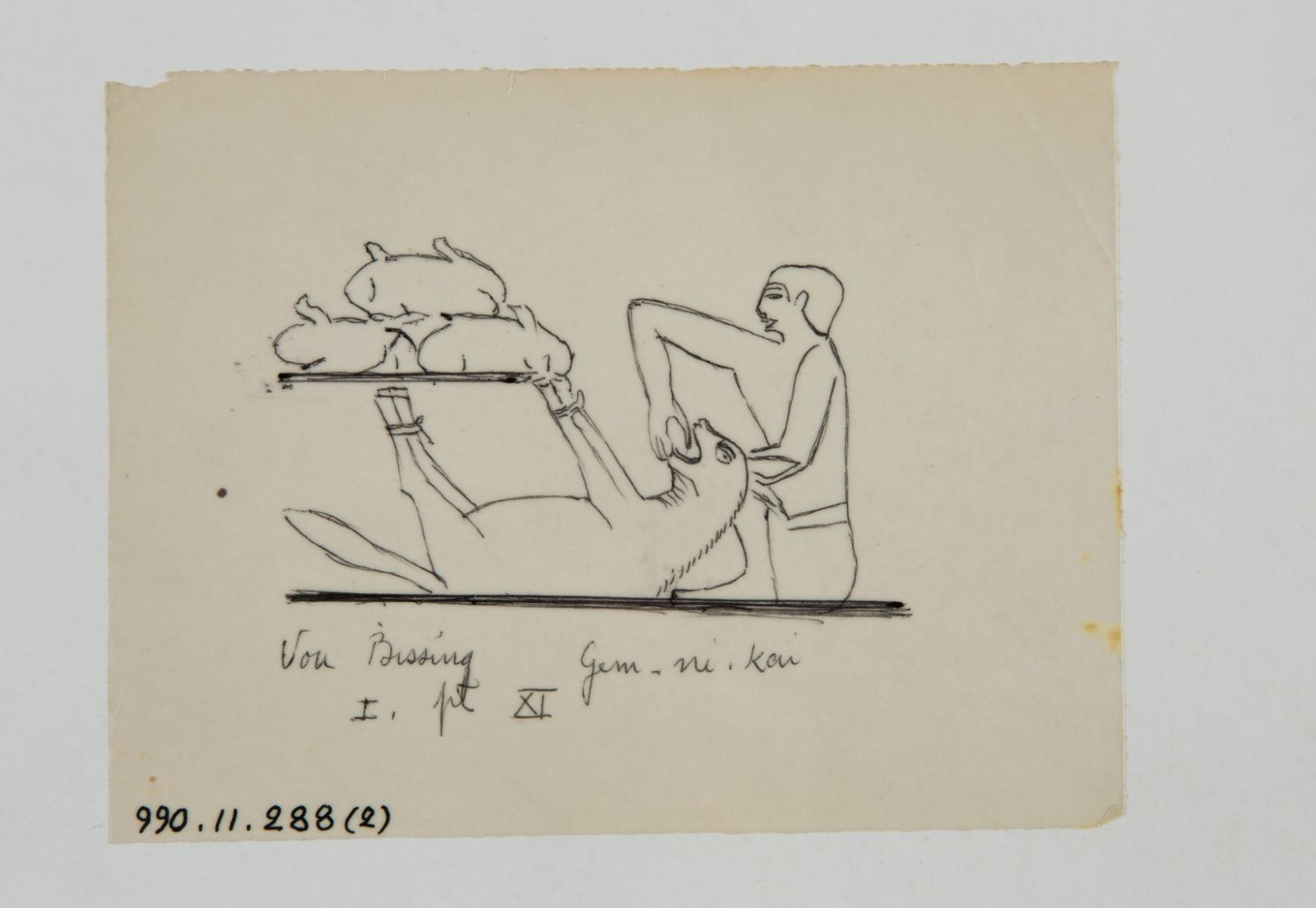 Gavage de hyène (titre factice)