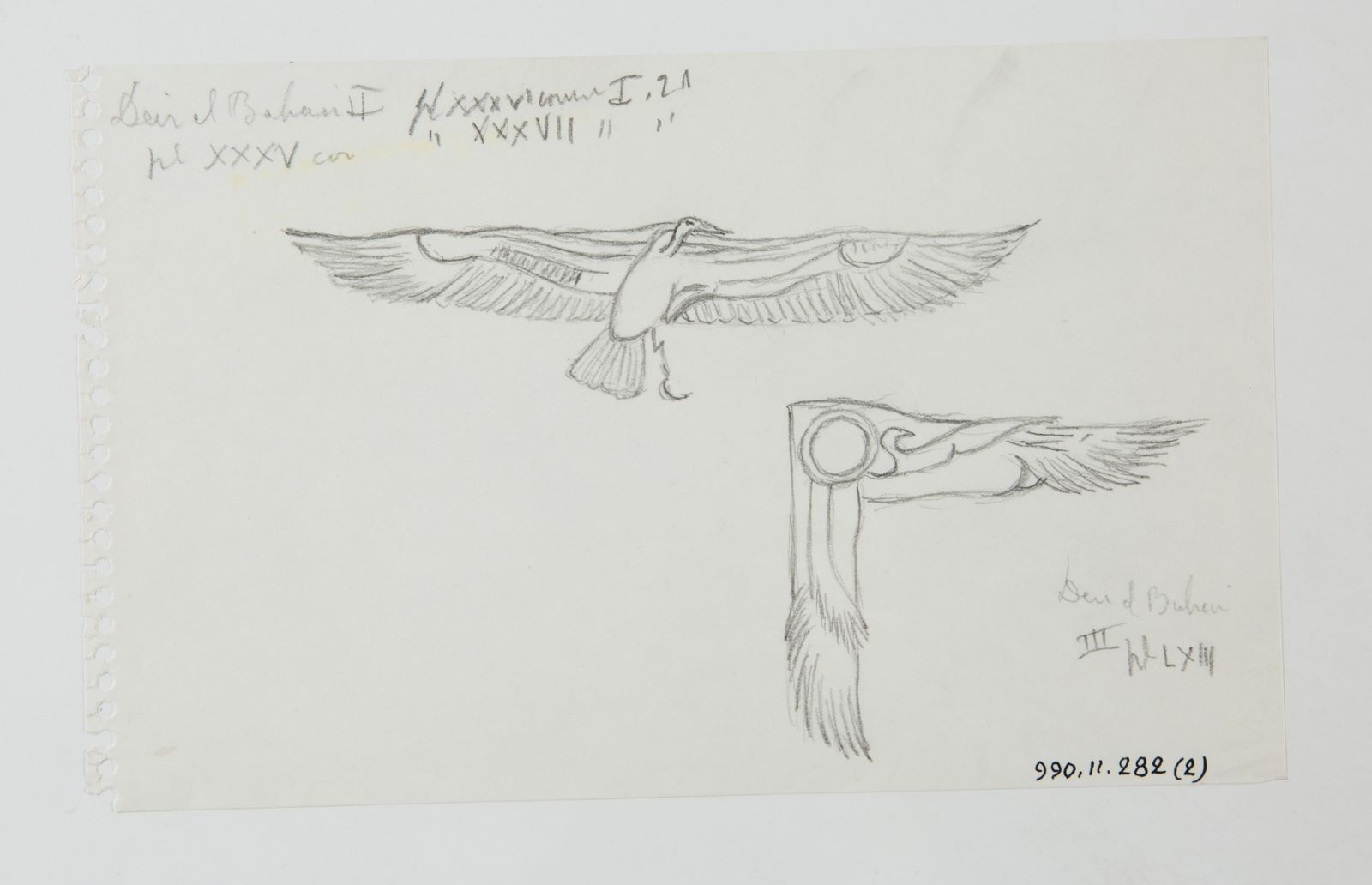 Etude de représentation de vautours (titre factice)